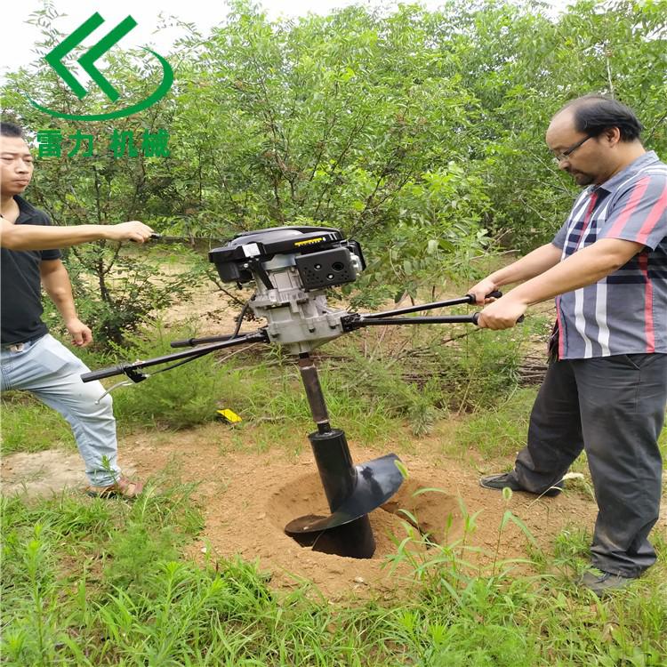 汽油挖樹坑機鉆小孔真方便